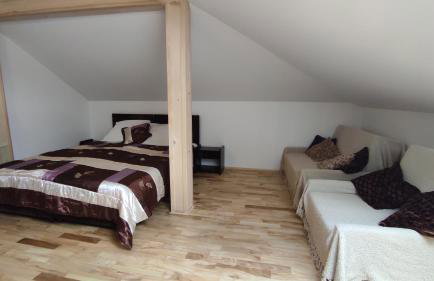 Noclegi Kalniczka - Foto 20