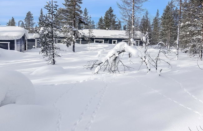 Metso-pirtti - Foto 22