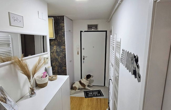 Home Away in Sarajevo - Photo 32