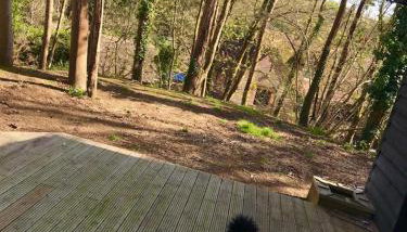 Redhill Lodge - Foto 5