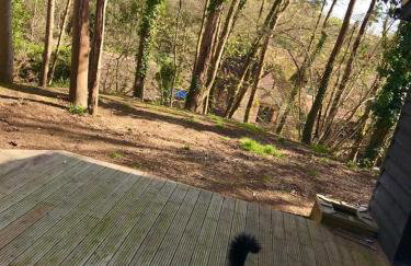 Redhill Lodge - Photo 5