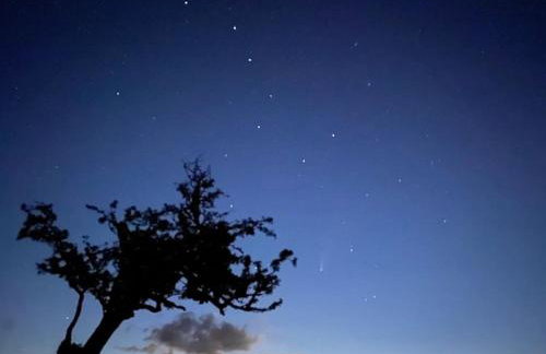 The Apple Press - Sweethay - Foto 46