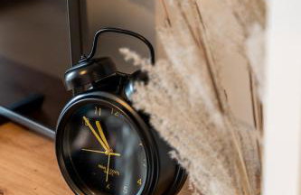 Green Boho Sienkiewicza - Foto 11