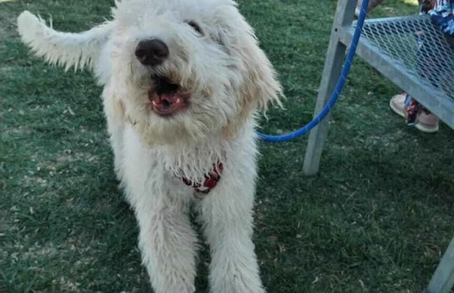 The Anchorage - Foto 53