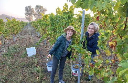 Port Stobno - Portowe Domki przy Winnicy - Foto 42