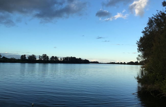 Mansfield on the Manning - Photo 39