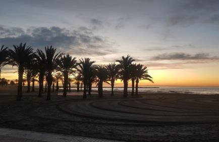 Apartamento Pepi Puerto (Adults Only) - Photo 45