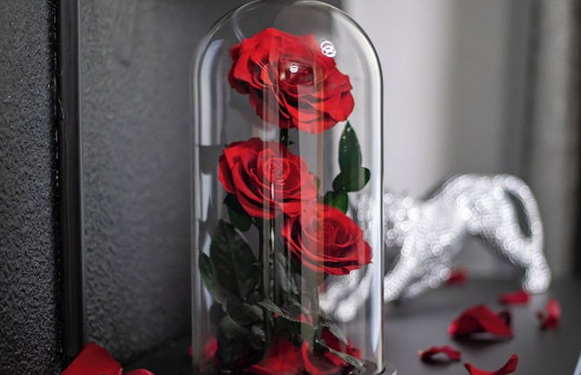 Suite jacuzzi - Foto 6