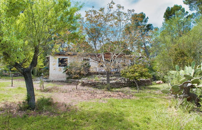 Can Pastera in Campanet - Foto 10