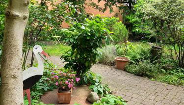 Studio La Grenouillère - Photo 4