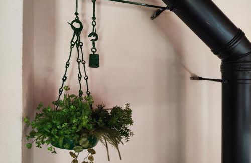 Allotjaments Cal Llarg - Foto 52