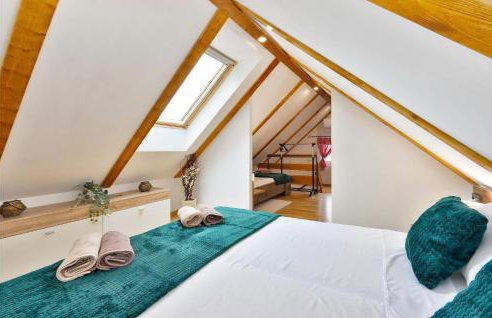 Nice Home In Nova Diklenica With Sauna - Foto 31