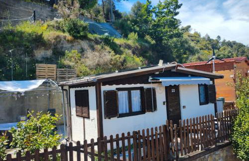 Bungalow Sixdays 3 - Photo 35