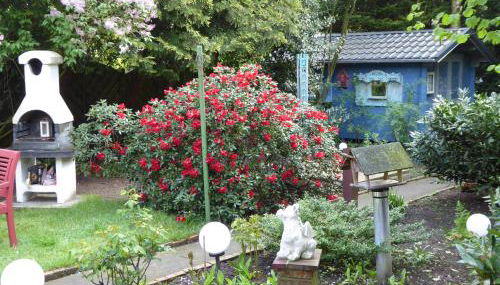 Großstrasse 18 A - Foto 3, Garden