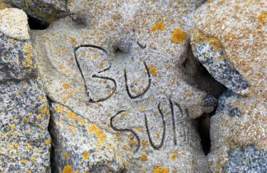 Capt'n Eike - Foto 34