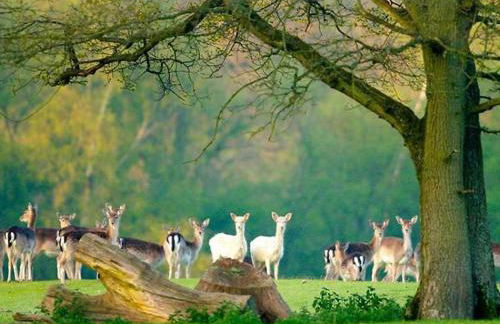 3 Beds Home walking distance from Shirley High Street - sleep 7 - Free Parking - Pool Table - 50" TV - Foto 42