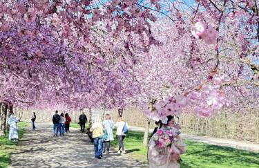 Ca' Mariuccia appartamento in Venaria Reale - Foto 7