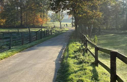 FeWo im Vest - Foto 31