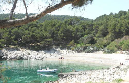 Apartments Dida - Photo 12