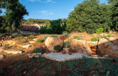 Three Little Birds - Foto 29