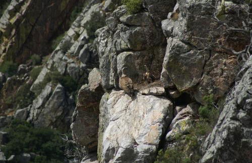 Monte do Pego - Foto 18