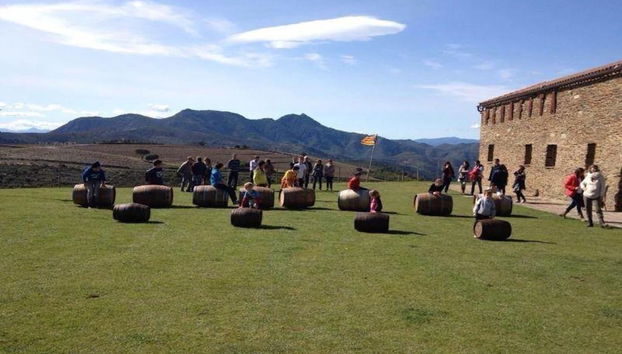 Sa Perafita - Photo 3