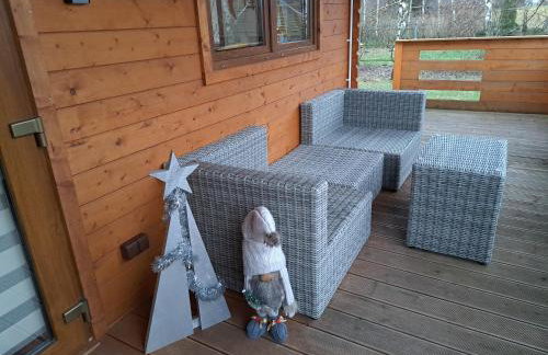 Domki Borowiackie nad brzegiem jeziora - Foto 29