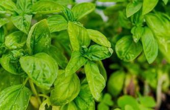 Casa Gabriella - Appartamento - Foto 25