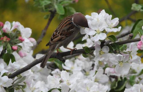 Agroturystyka Biebrzańska Kraina - Foto 19