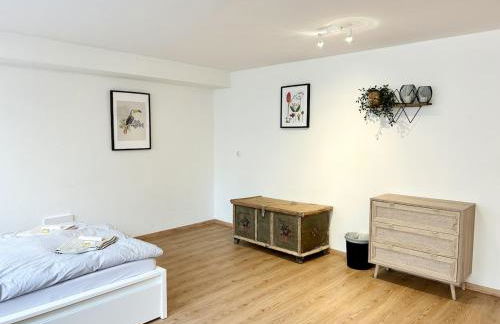 Modern Quiet Studio Central Munich - Foto 8