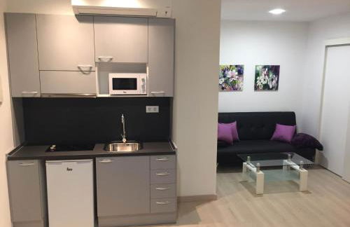 Apartahotel Baldiri - Foto 16