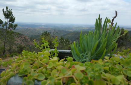 Casa ATMAN - Foto 55