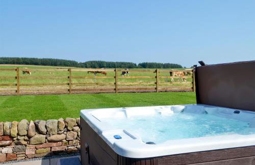 Auchen Ladder - Photo 16