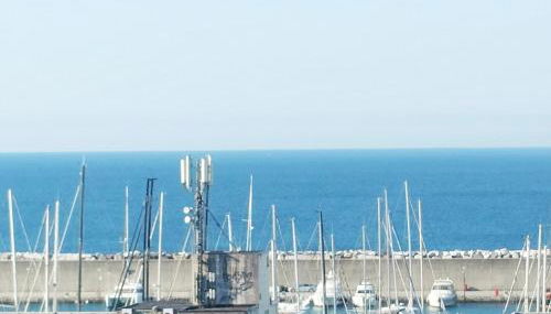 Seagulls, Elegance and Freedom - Foto 5