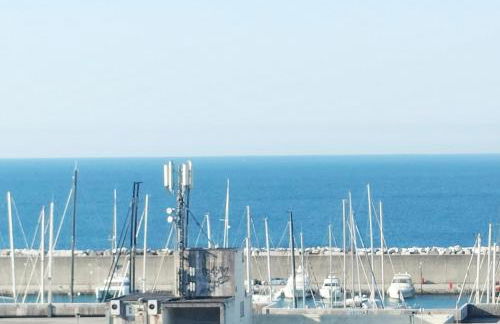 Seagulls, Elegance and Freedom - Foto 5