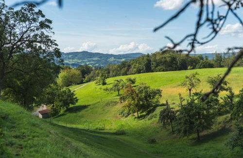 Grünewaldhof in Rimbach im Odenwald - Foto 2