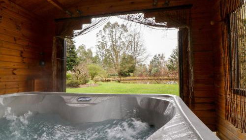 Woodpeckers - Foto 2