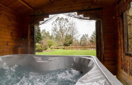 Woodpeckers - Photo 2