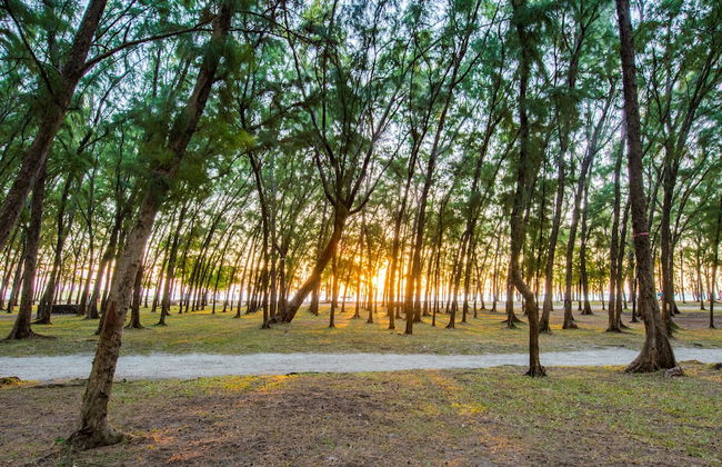 Mon Choisy Beach R. - Photo 29