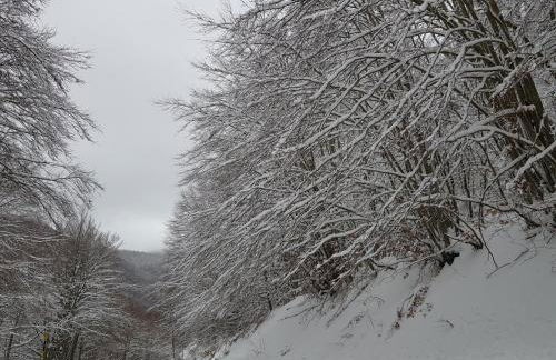 Il Grottino - Foto 9