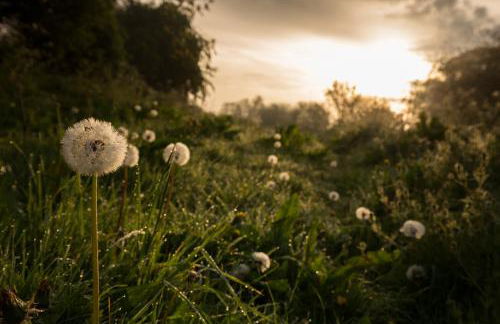 Soulton Hall - Foto 8