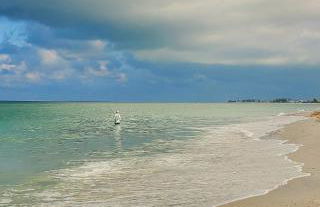 Bamboo Apartments - Photo 78