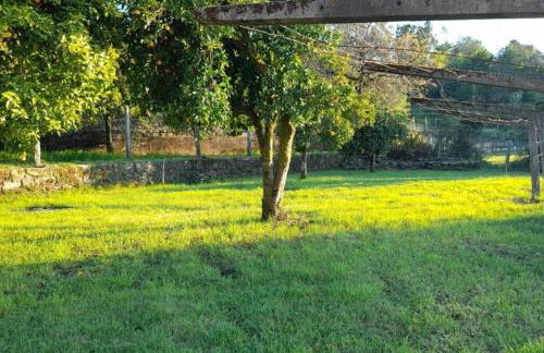 Casa da Pedrada - Foto 15