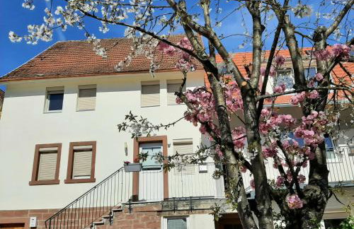 Fiore Gästezimmer - Foto 14