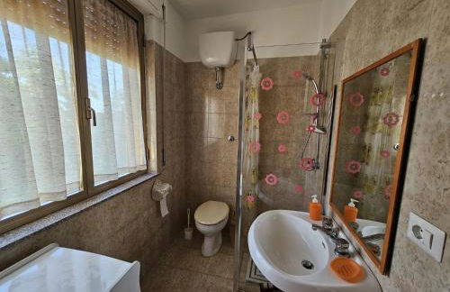 La Camelia - Foto 20