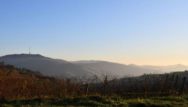 Holiday Apartment Kromer - Foto 2, Zimmer