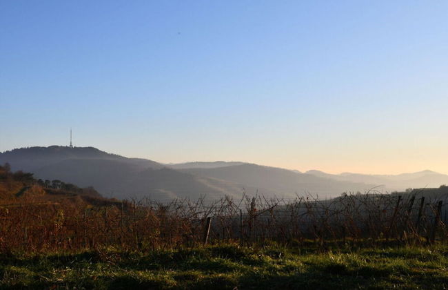 Holiday Apartment Kromer - Foto 1