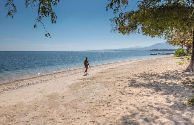 The Anandita - Foto 3