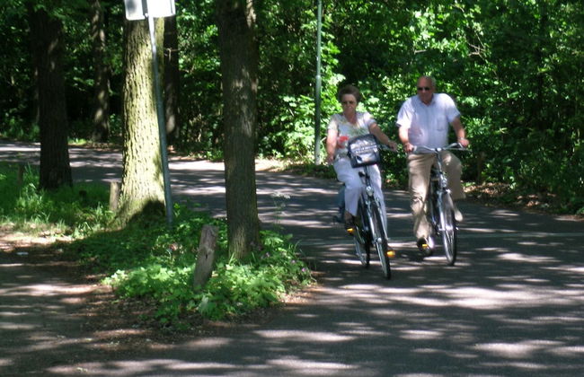 Cosy Holiday Home in Maarheeze With Verandah - Foto 65