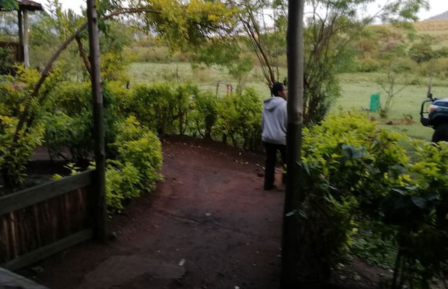 Mara Forest camp - Foto 4